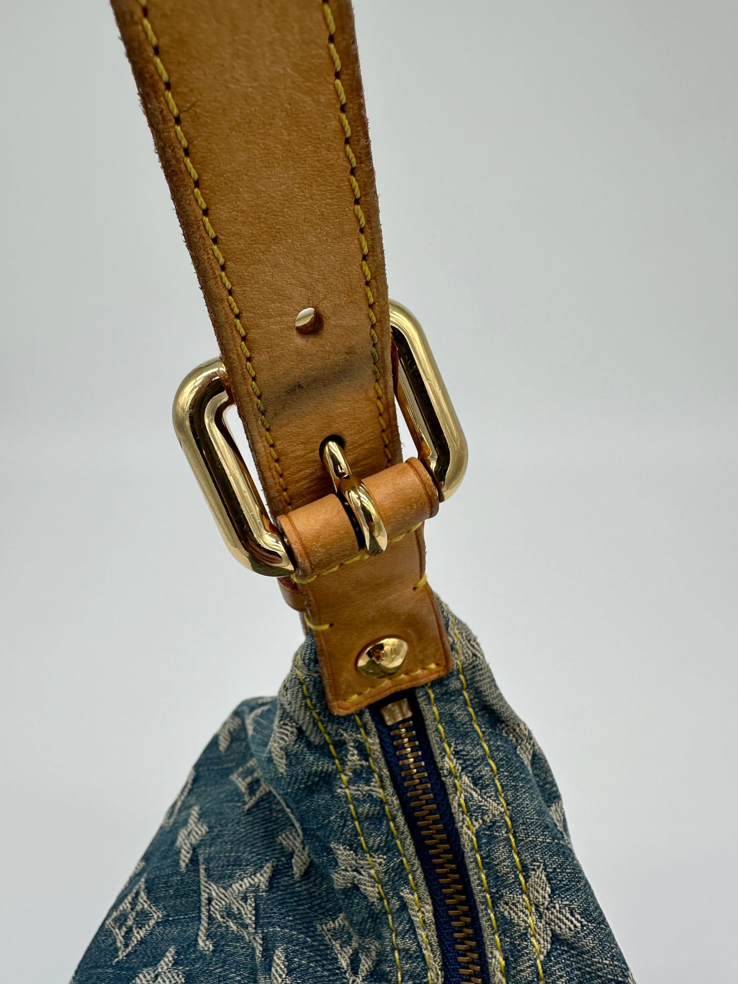 Louis Vuitton Denim Baggy PM