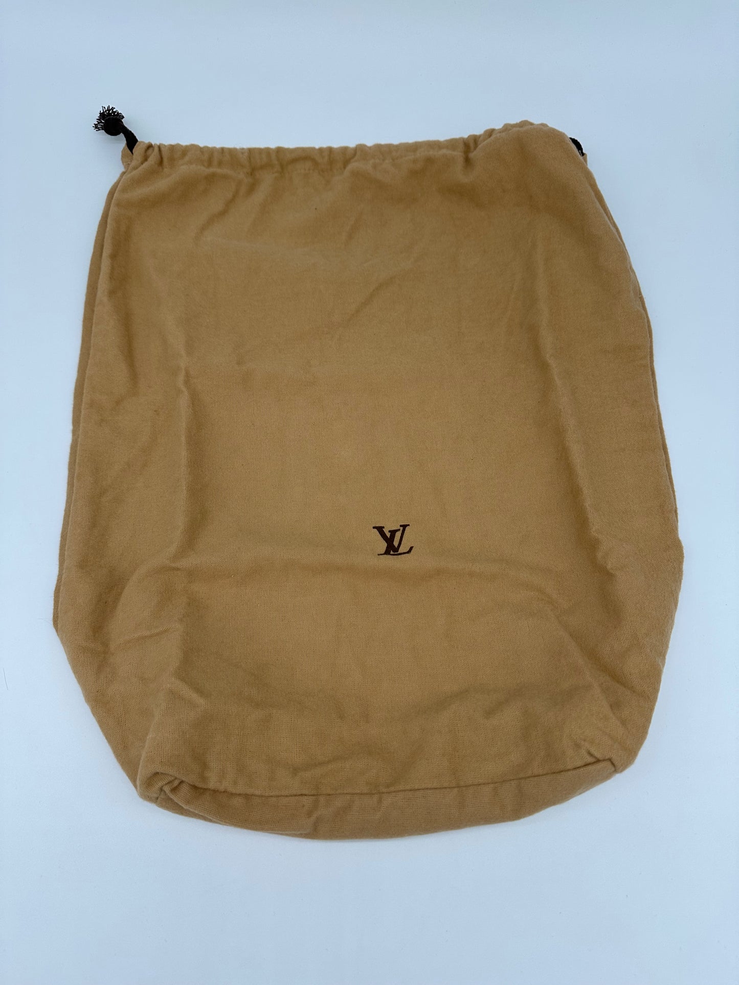 Louis Vuitton Denim Baggy PM