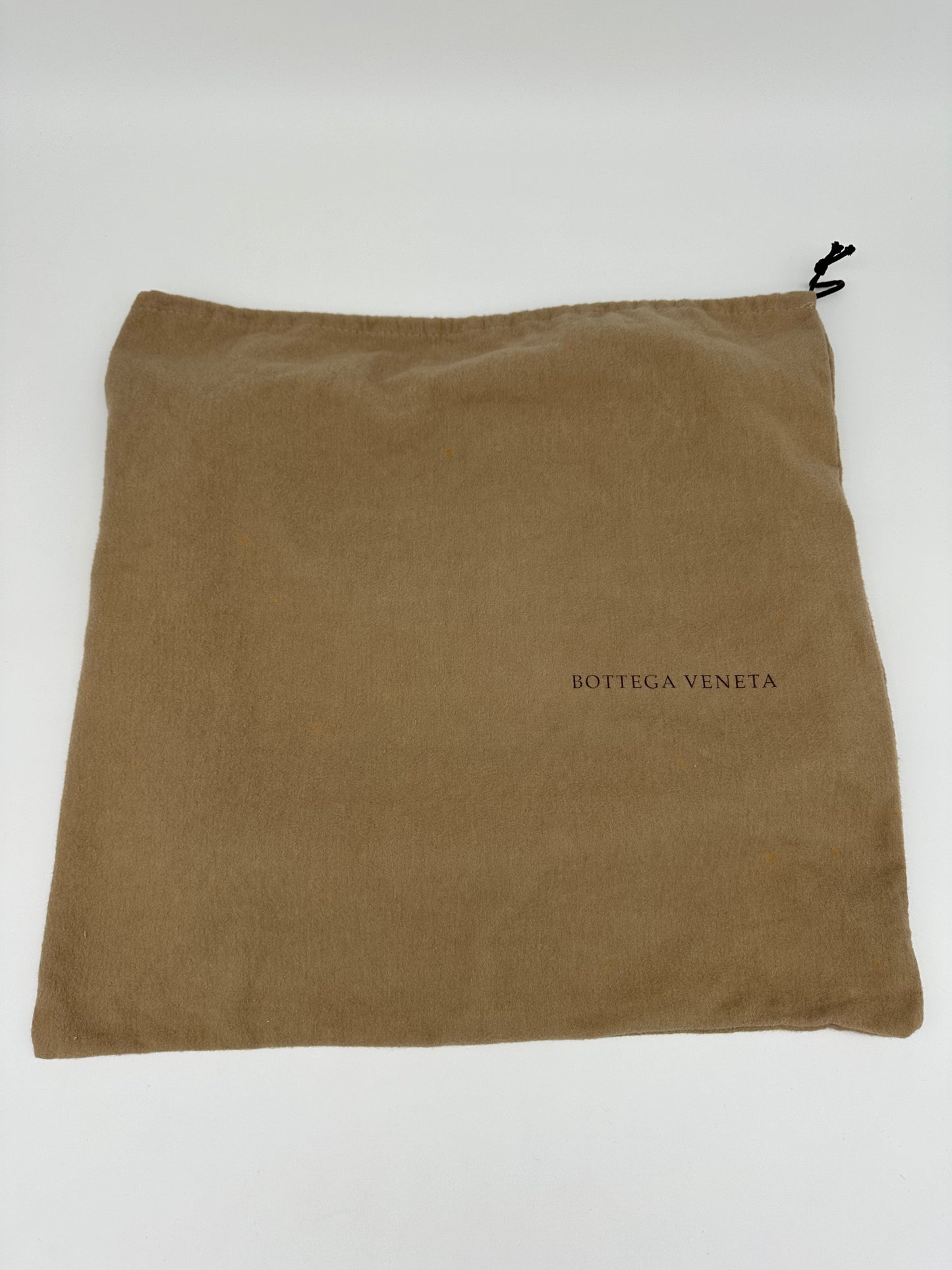 Vintage bottega veneta hobo bag