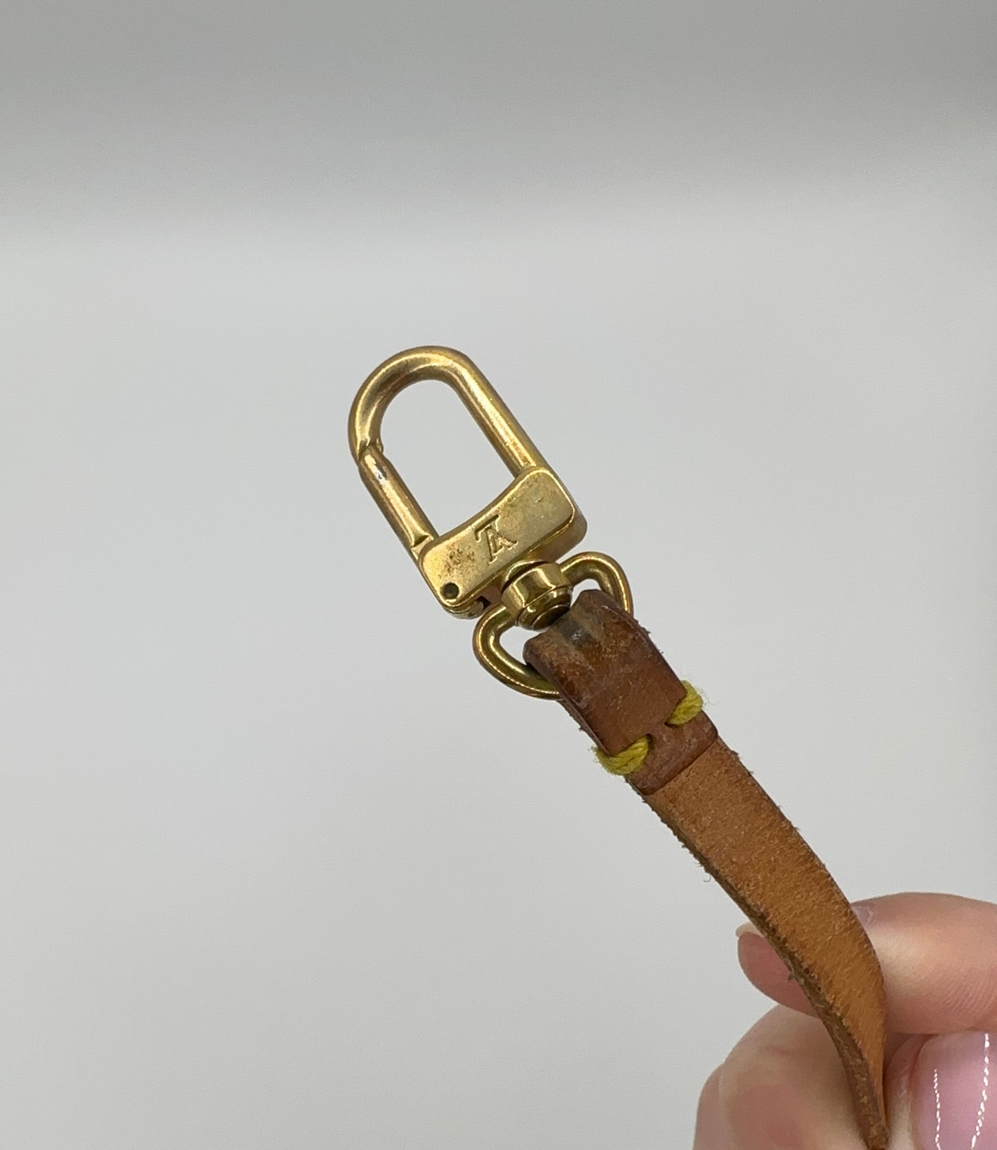 Louis Vuitton Monogram Pochette